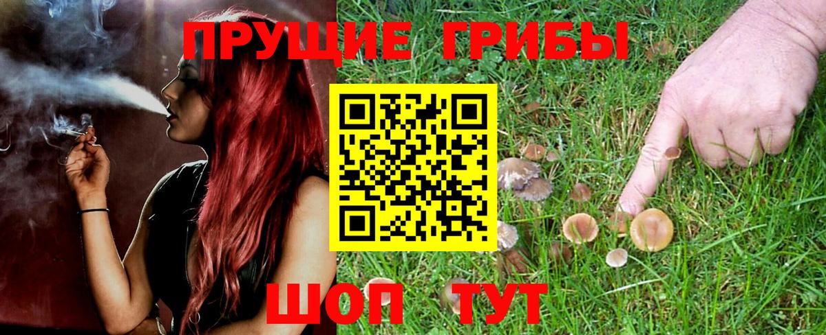 Псилоцибиновые грибы прущие грибы Югорск
