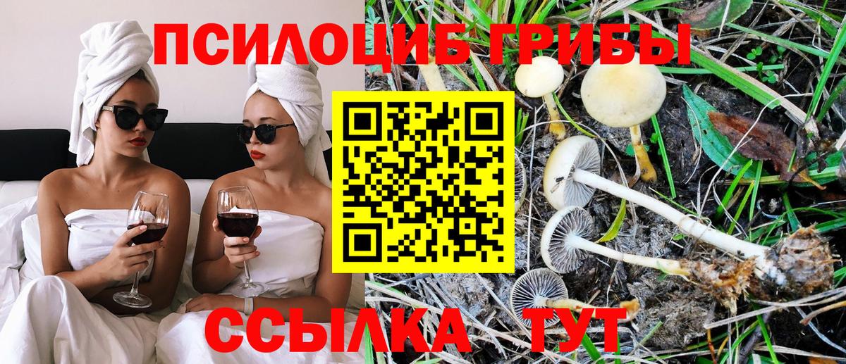 Югорск  где найти наркотики  Вход с VPN  Псилоцибиновые грибы Magic Shrooms 